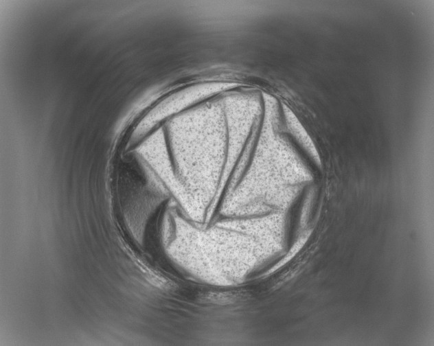 X0000059250341200511111647