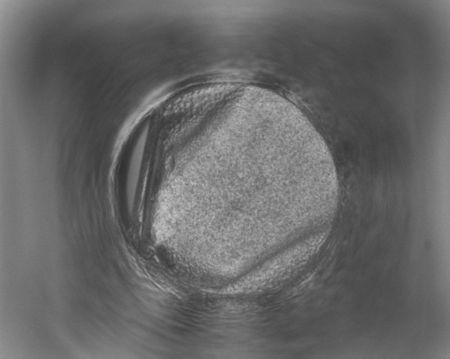 X0000059250343200511111647