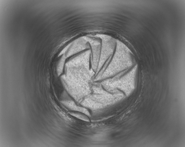 X0000059250345200511111647