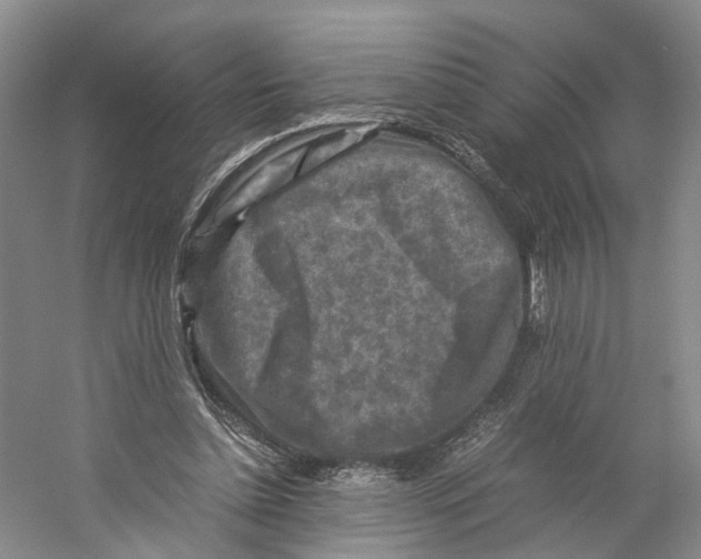 X0000059250348200511111647