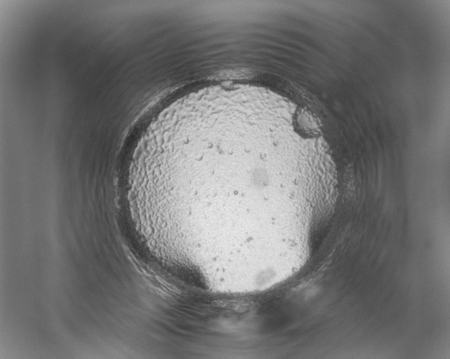 X0000059250351200511111647