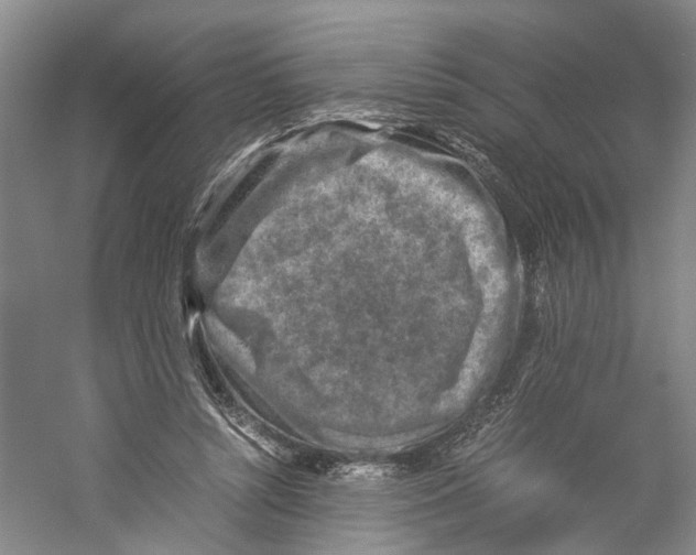 X0000059250352200511111647