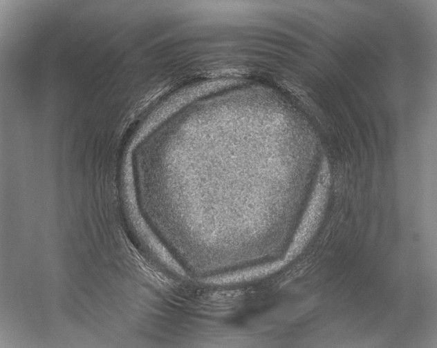 X0000059250353200511111647