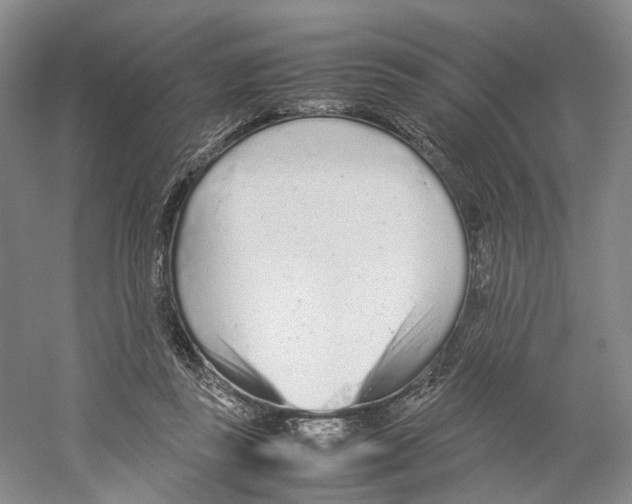 X0000059250355200511111647