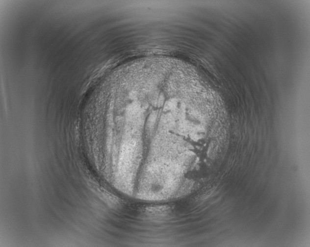 X0000059250357200511111647