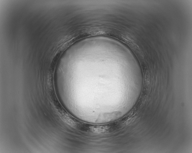 X0000059250359200511111647