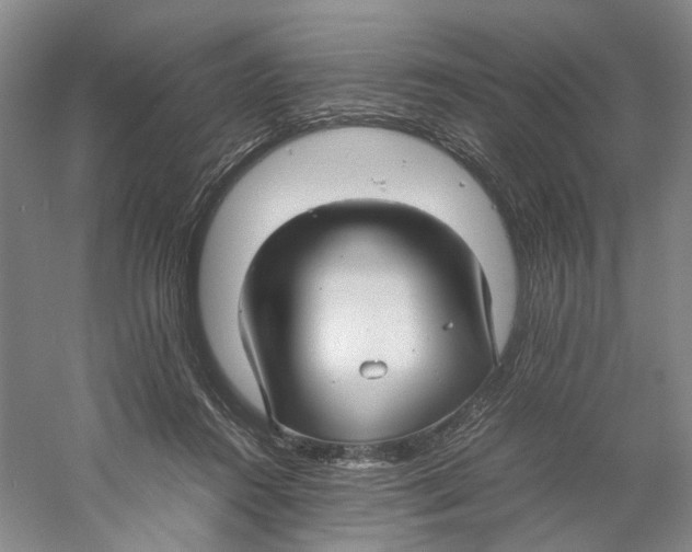 X0000059250360200511111647