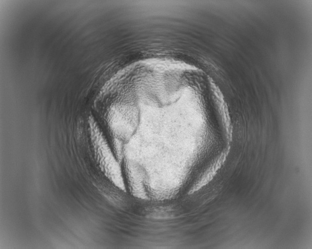 X0000059250361200511111647