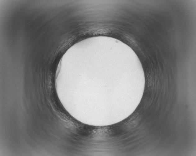 X0000059250362200511111647