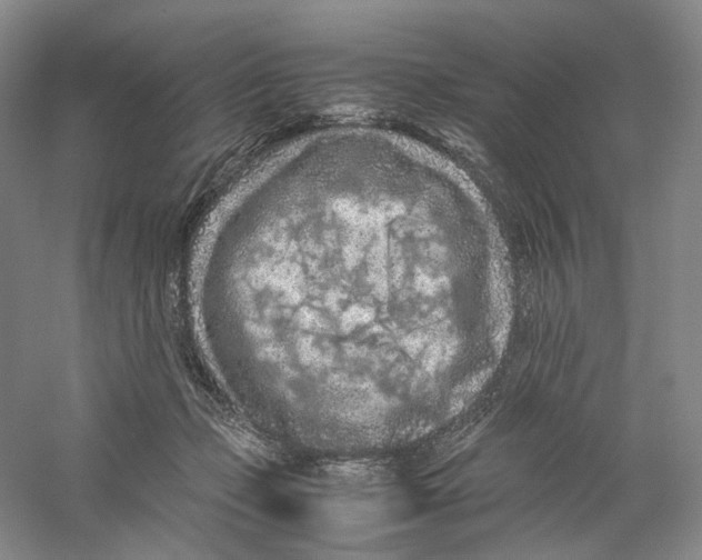 X0000059250365200511111647