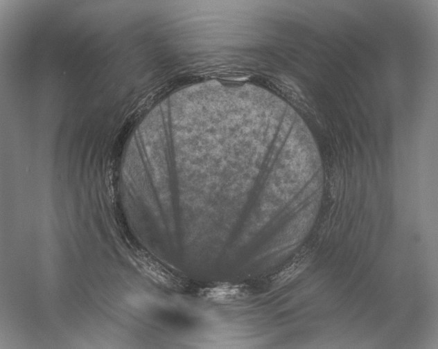 X0000059250366200511111647