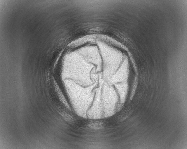 X0000059250369200511111647