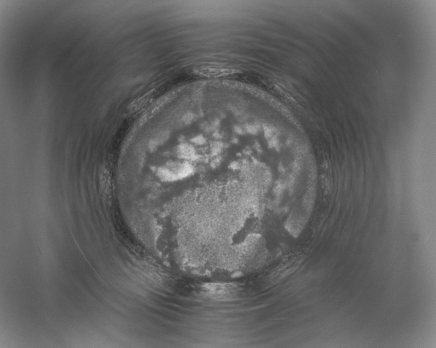 X0000059250371200511111647