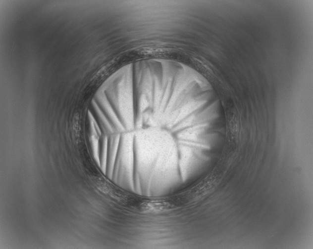 X0000059250372200511111647