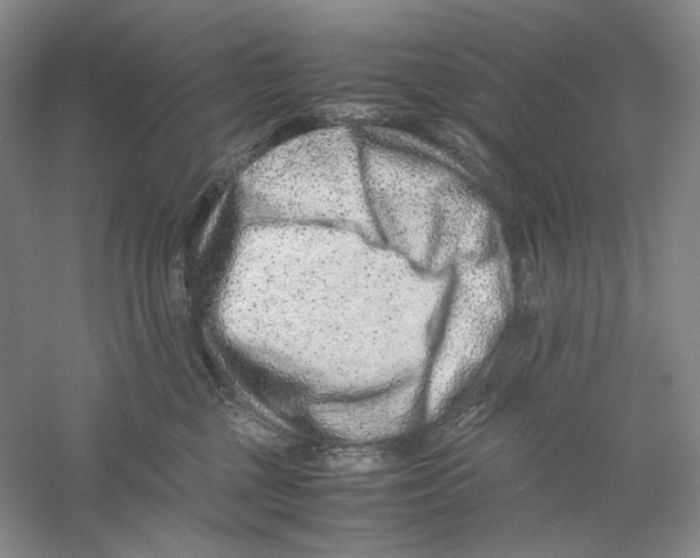 X0000059250377200511111647