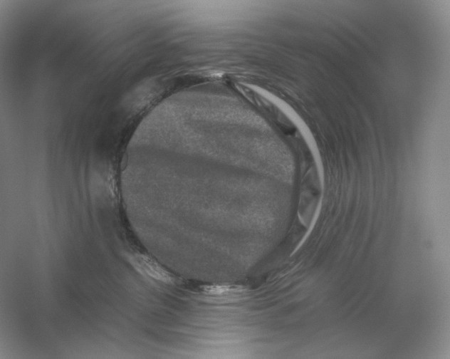 X0000059250380200511111647