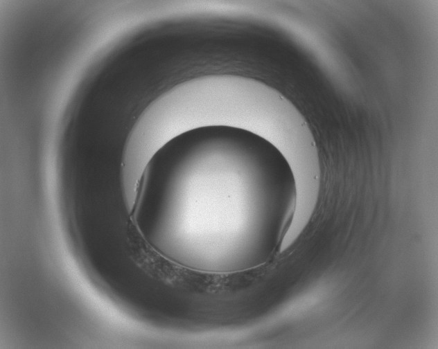 X0000059250383200511111647