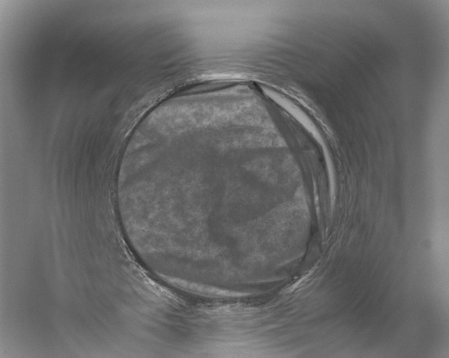 X0000059250385200511111647