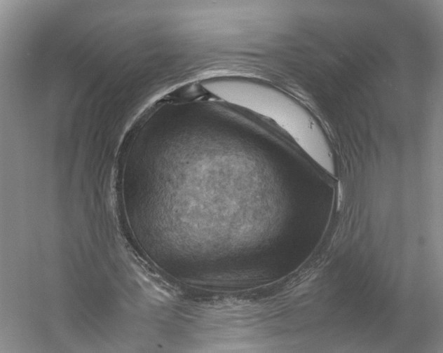 X0000059250387200511111647