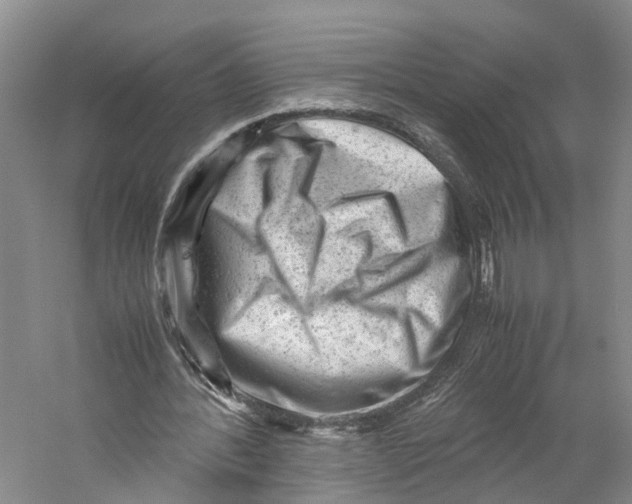 X0000059250388200511111647