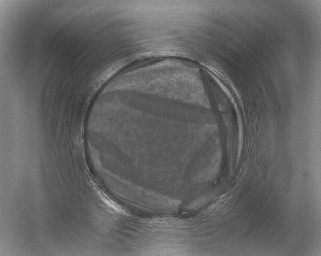 X0000059250389200511111647