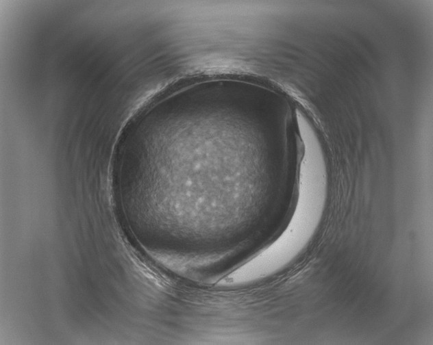 X0000059250391200511111647