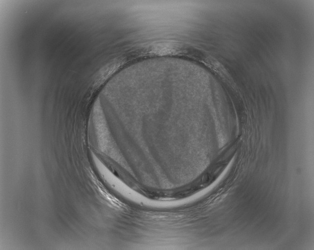 X0000059250393200511111647