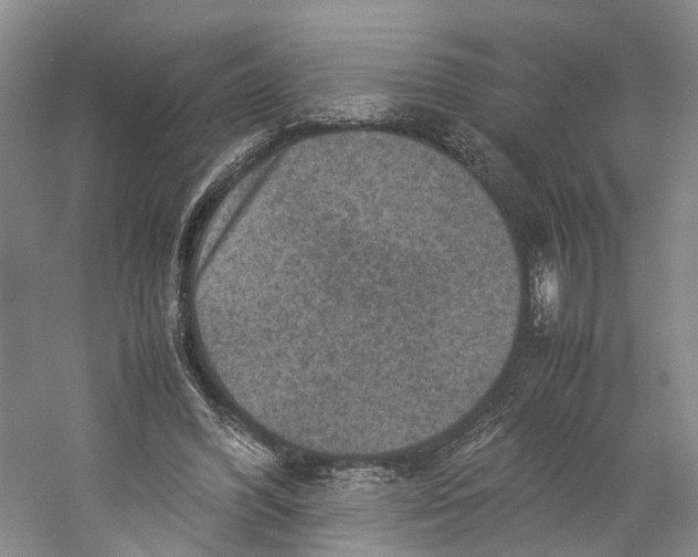 X0000059250396200511111646