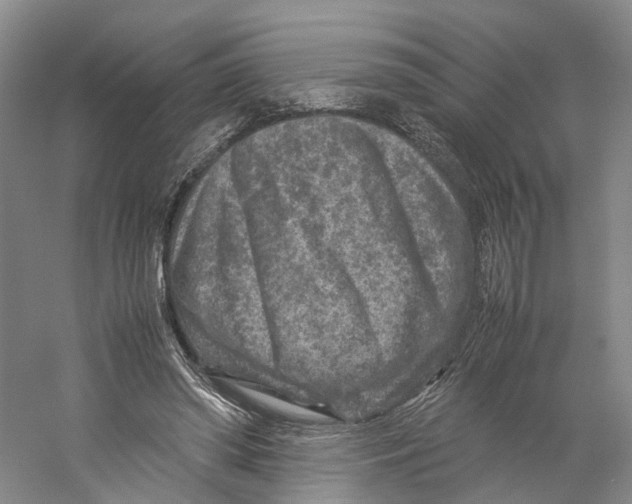 X0000059250398200511111646