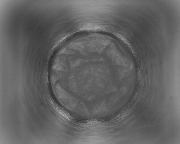 X0000059250399200511111646