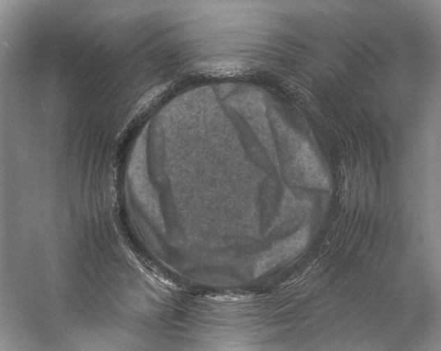 X0000059250400200511111646