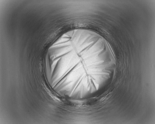 X0000059250401200511111646