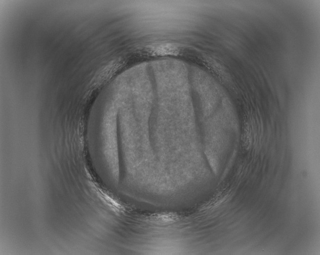 X0000059250402200511111646