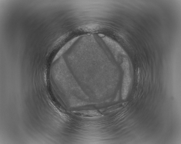 X0000059250404200511111646