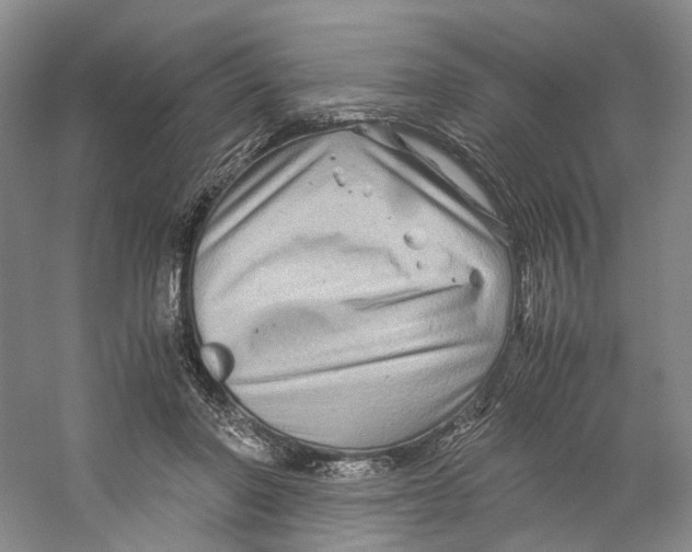 X0000059250406200511111646