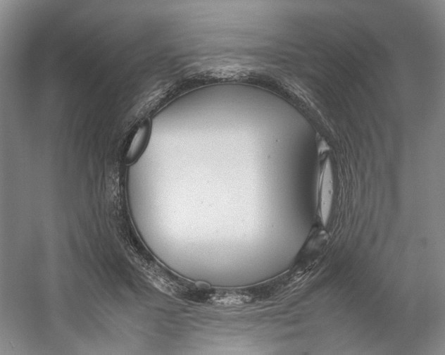 X0000059250407200511111646