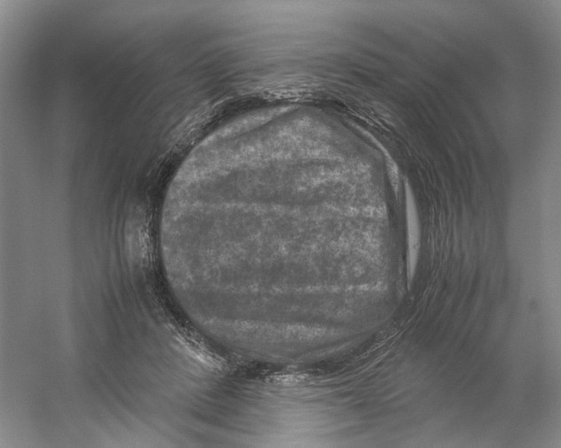 X0000059250408200511111646