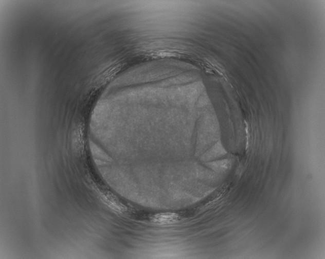 X0000059250410200511111646