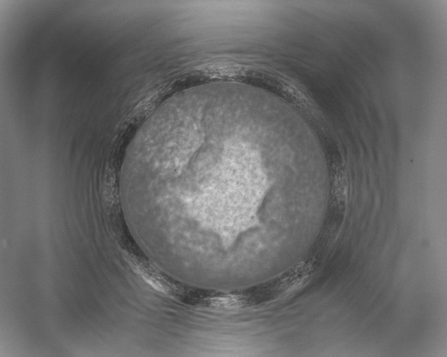 X0000059250411200511111646