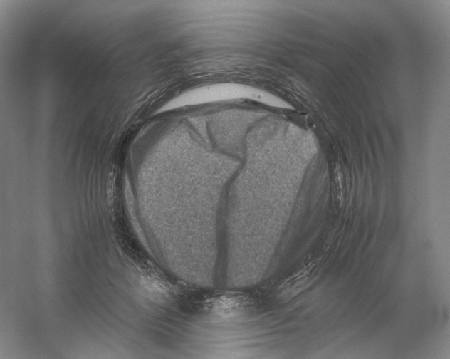 X0000059250412200511111646