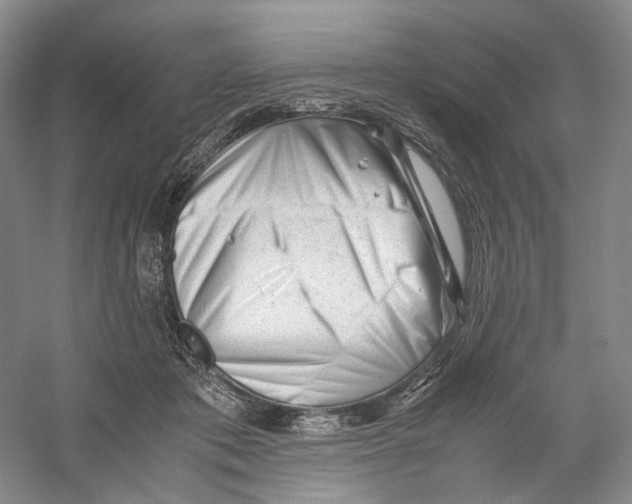 X0000059250413200511111646