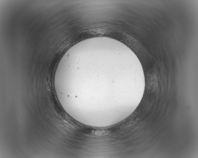 X0000059250414200511111646