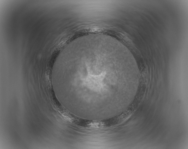 X0000059250415200511111646