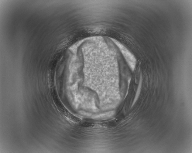 X0000059250416200511111646