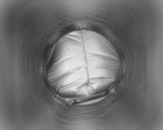 X0000059250417200511111646