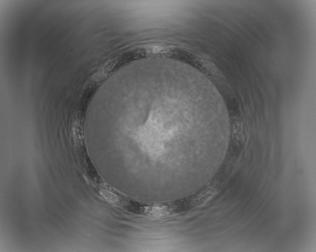 X0000059250419200511111646