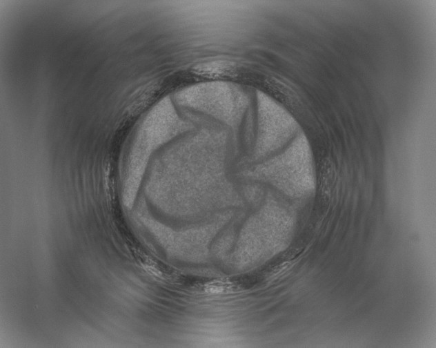 X0000059250420200511111646