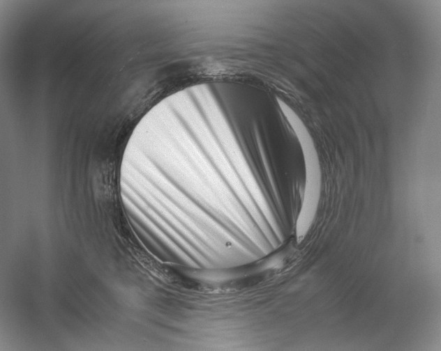 X0000059250421200511111646