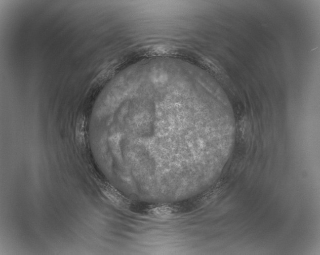 X0000059250423200511111646