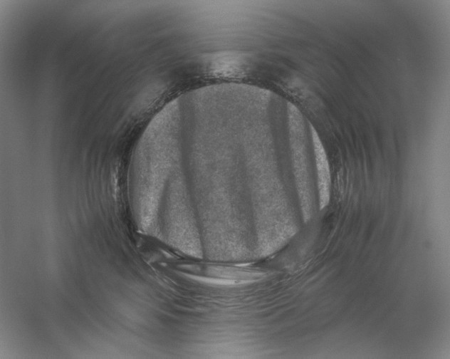 X0000059250424200511111646